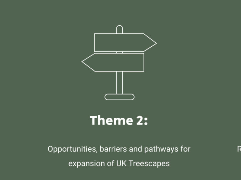 Treescapes_Themes